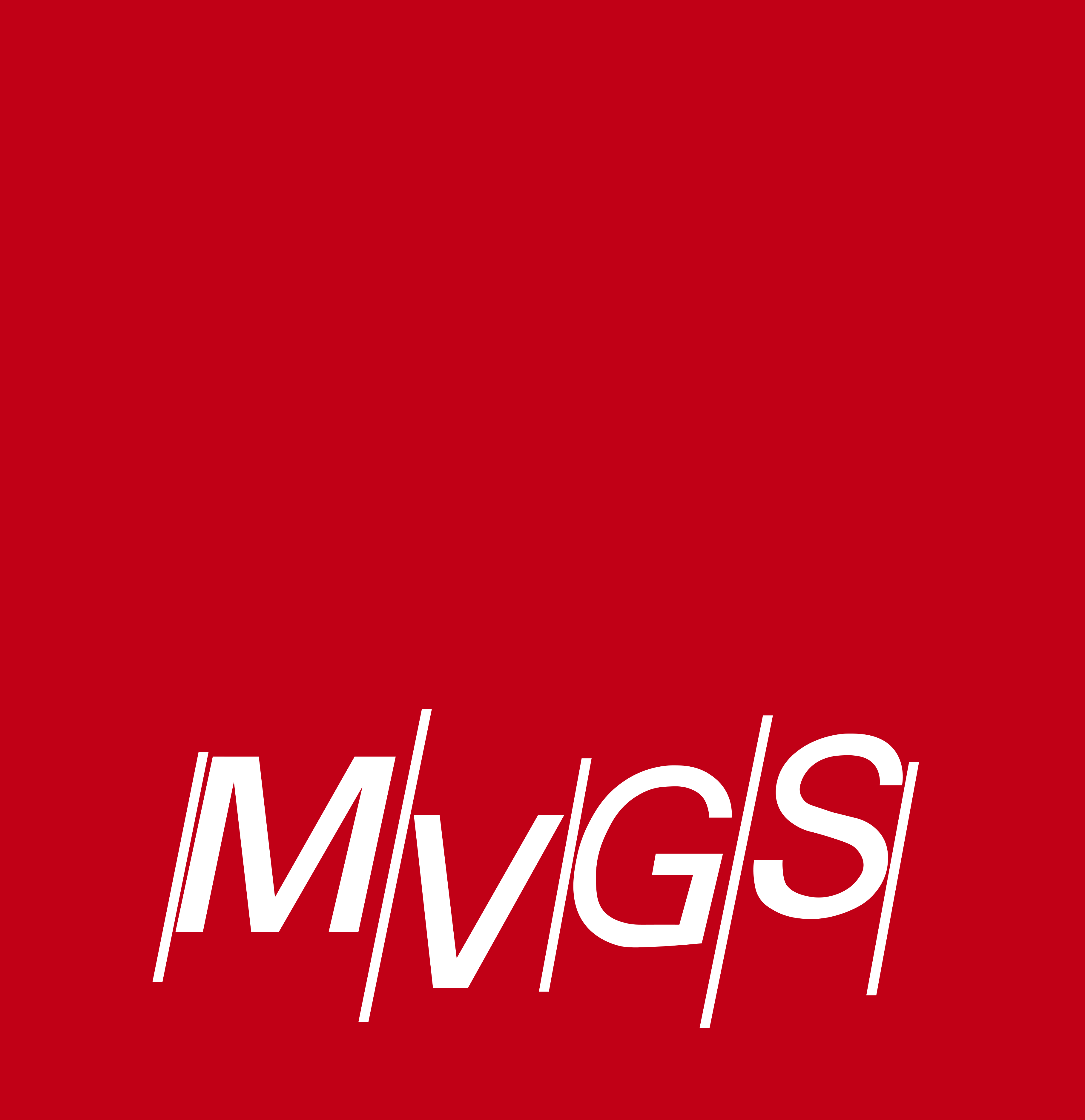 MVGS